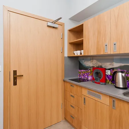 Hotel Sun & Snow Lipki Park Zakopane